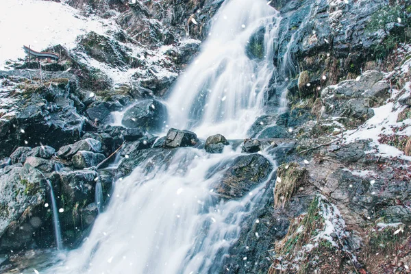 Cascadas Todtnauer en invierno . — Foto de Stock