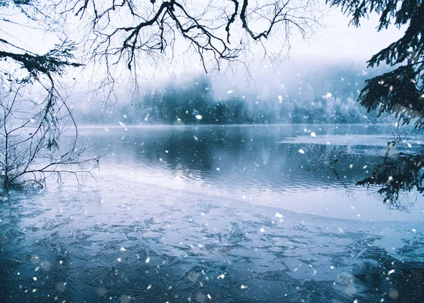 Un lago mistico in Germania . — Foto Stock