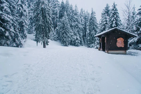 Sníh na kopcích v regionu Sattel Lucern Švýcarsko. — Stock fotografie
