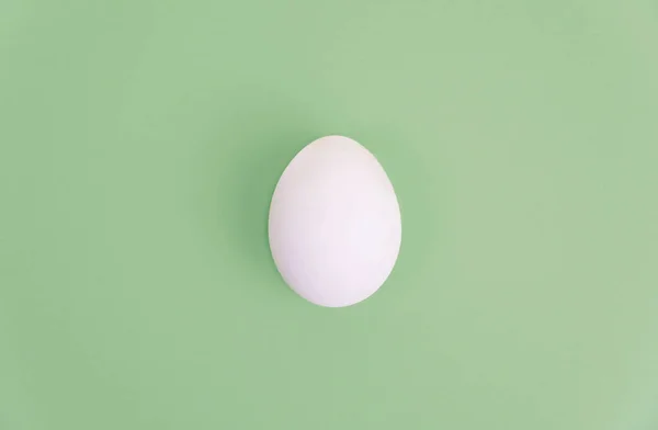 Jeden biały jajko na pastelowe tło zielony. — Zdjęcie stockowe