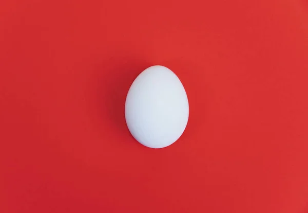 Jedno jajko bieli na czerwonym tle. — Zdjęcie stockowe