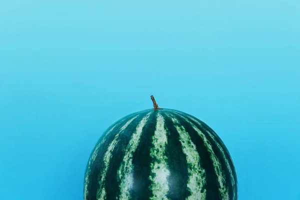 Módní meloun na pastelové pozadí. — Stock fotografie