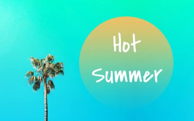 Mavi güneşli gökyüzü karşı üç güzel palmiye ağaçları.