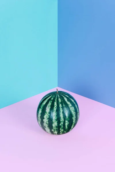 Módní meloun na pastelové pozadí. — Stock fotografie