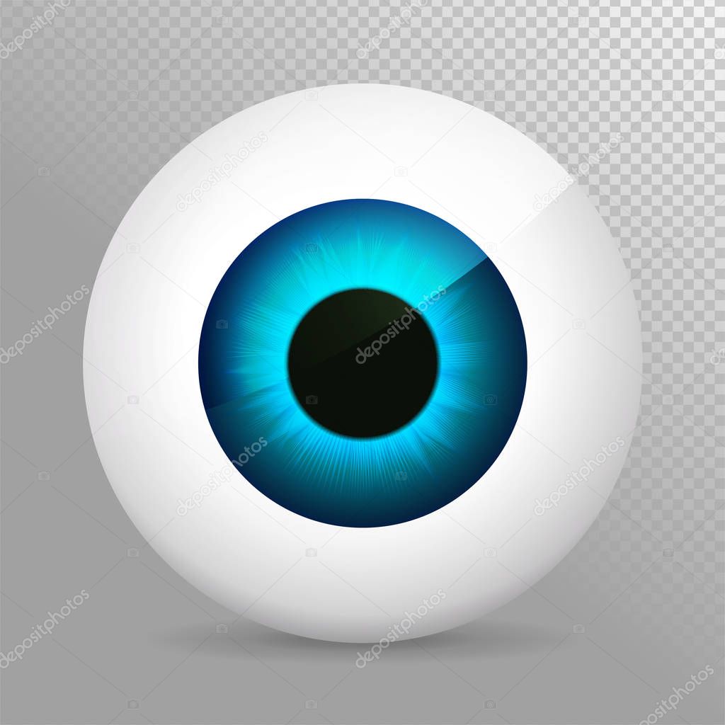 Eye, blue. Realistic 3d indigo eyeball vector illustration. Real human iris,pupil and eye sphere. Icon on transparent background. Isolated macro color eyeball. Character eyes design. Anatomy close up.