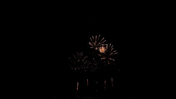 Fuegos artificiales repetidos, de color en el cielo nocturno — Vídeo de stock