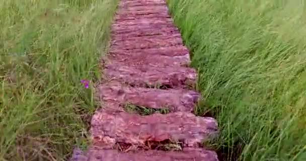 Wooden pathway in the national swamp reserve. Autumn daytime. Smooth dolly shot. — Stock Video