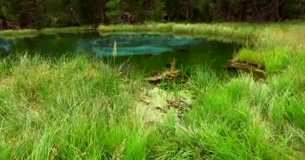 アルタイ山脈の素晴らしい青の間欠泉湖 — ストック動画