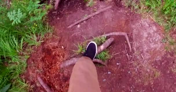 Человек в спортивной обуви идет по лесной дорожке . — стоковое видео