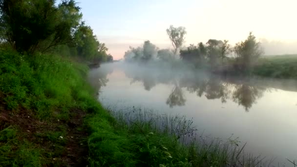 Vista aerea del fiume all'alba, volare sopra la nebbia mattutina sul fiume — Video Stock