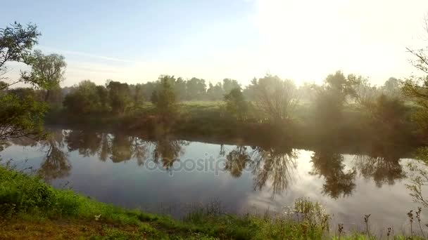 Sol morgon. Flickan som har tagit skydd en pläd lämnar till floden och åtnjuter en titt — Stockvideo