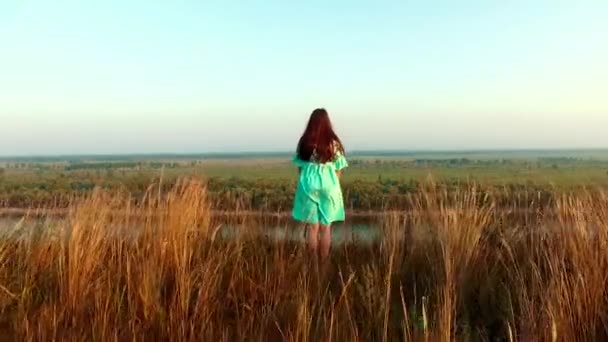 La chica en un vestido se encuentra cerca de una gran escapada, por delante del valle del río. La cámara pasa volando sobre ella. — Vídeo de stock