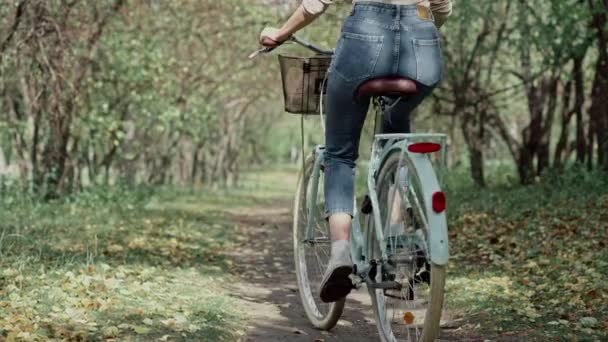 Γυναίκα με ποδήλατο διασχίζοντας την κοιλάδα των δέντρων — Αρχείο Βίντεο