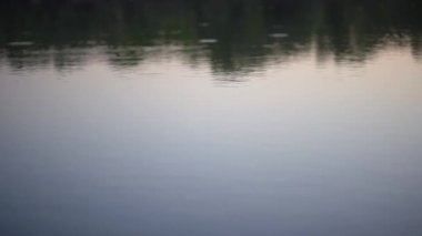 Su yüzeyinde taş sektiriyor. Küçük düz bir kayayı fırlatmanın güzel bir manzarası var. Suya atıldıktan sonra defalarca sekmiş ve sonunda göle batmış..