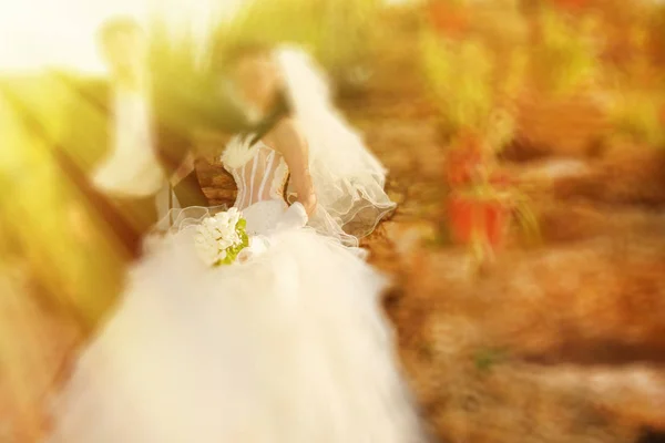 Düğün. Radyal zum bulanıklaştırma filtresi uygulanmış, defocusing efekti zekâ — Stok fotoğraf