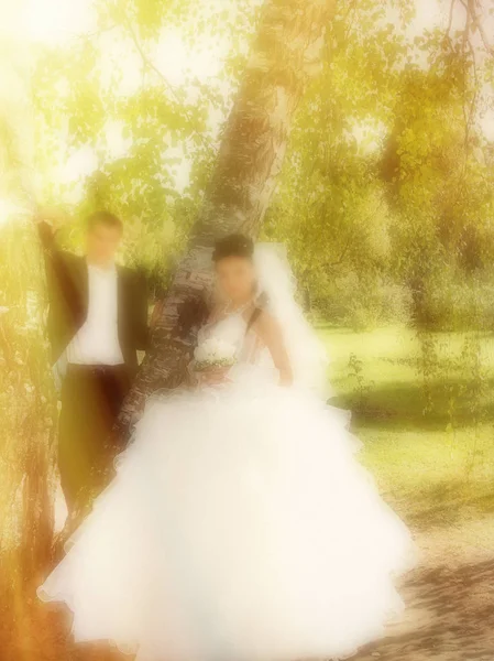 結婚式。放射状ズームぼかし効果フィルターを適用、焦点はずれウィット — ストック写真