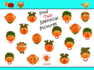 Aynı Fotoğrafı Bulmanın Çizgi Filmi. Okul Öncesi Çocuklar için Eğitim Oyunu.