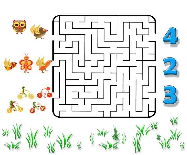 Lustiges Labyrinth Spiel Für Vorschulkinder Illustration Der Logischen Erziehung Für — Stockfoto