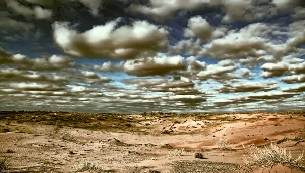 落日时分的卡拉库姆沙漠 中亚沙漠的景观 应用安装夹过滤器 — 图库照片