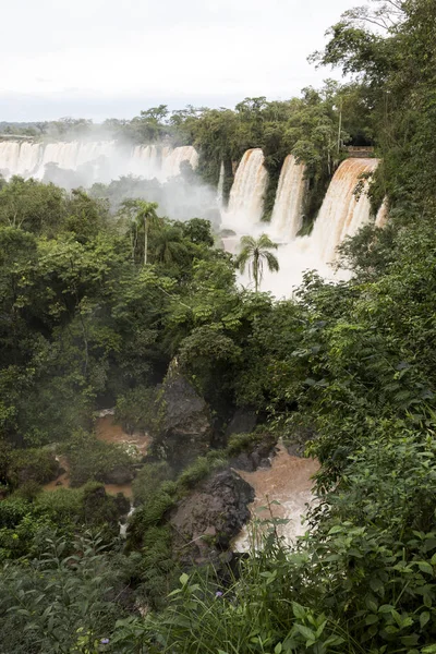 Drzew i wodospady w górnej części iguazu falls veiw z Argentyny — Zdjęcie stockowe