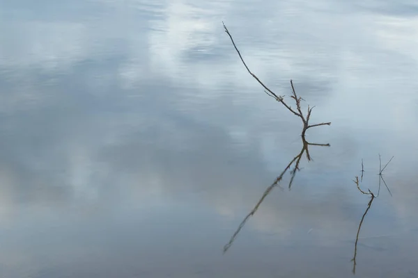Suche drzewo gałąź z odbiciem wewnątrz wody jeziora - poziome — Zdjęcie stockowe
