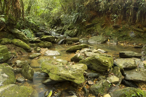 Μακροχρόνια έκθεση creek με πεσμένα φύλλα που τρέχει ανάμεσα στα βράχια στη μέση ενός πυκνού δάσους - οριζόντια — Φωτογραφία Αρχείου