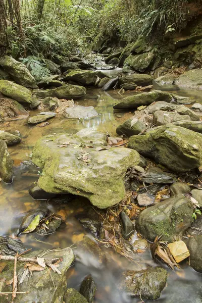 uzun pozlama creek düşen yapraklar yoğun bir orman - dikey ortasında kayaların arasındaki çalışan ile