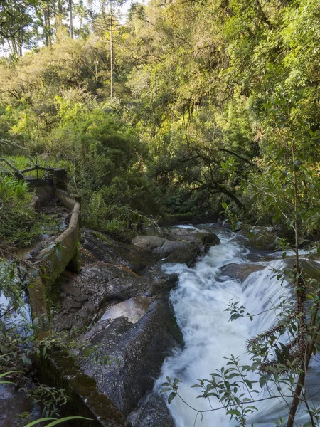 Rzeka skały i dam w środku gęsty las drzew — Zdjęcie stockowe