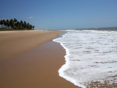 mavi gökyüzü ve Hindistan cevizi hurma ağaçları ile güneşli yaz gününde kumlu bir plaj üzerinde geliyor köpük ile dalga deniz