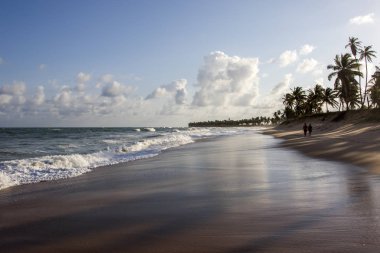 Sunset beach sakin mavi denizi ve beyaz köpük ve Hindistan cevizi hurma ağaçları ile dalgalar
