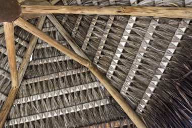 tropikal el yapımı Hindistan cevizi hurma saz çatı yaz aylarında plaj sunusu