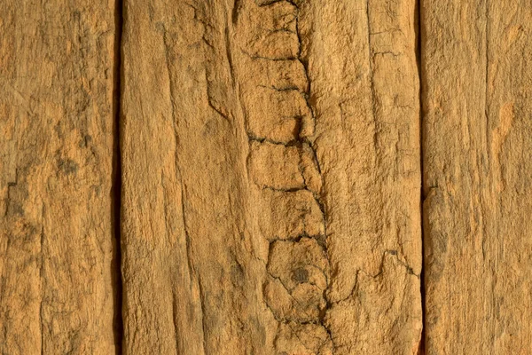 Detalhes de textura de seção de madeira demolição resistida — Fotografia de Stock