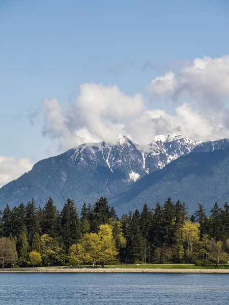 karlı dağ Vancouver arka planda ağaçlarıyla