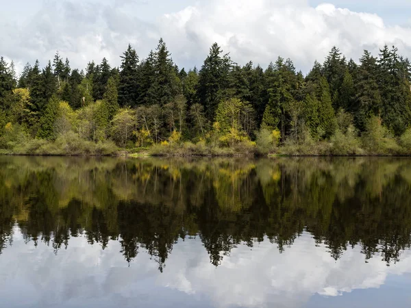 vancouver yılında stanley Park kayıp lagün yansıtan ağaçlar