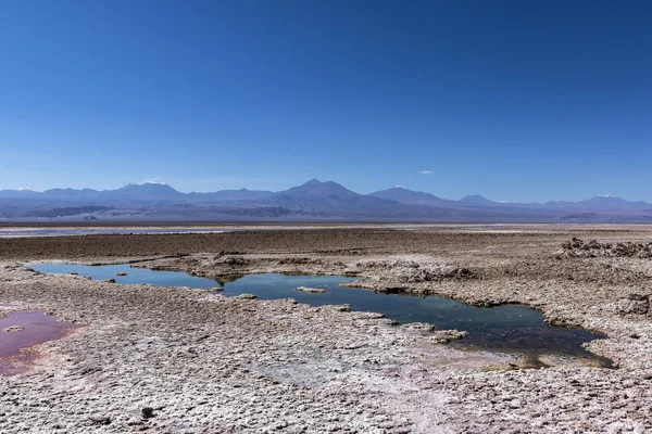 atacama tuz daireler ile Andları arka plan olarak, mavi lagün