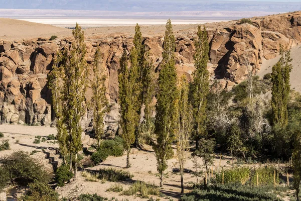 atacama Çölü - yatay kanyonda vaha