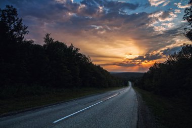 gün batımında ormanda yol