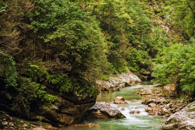 şeffaf dağ river gorge