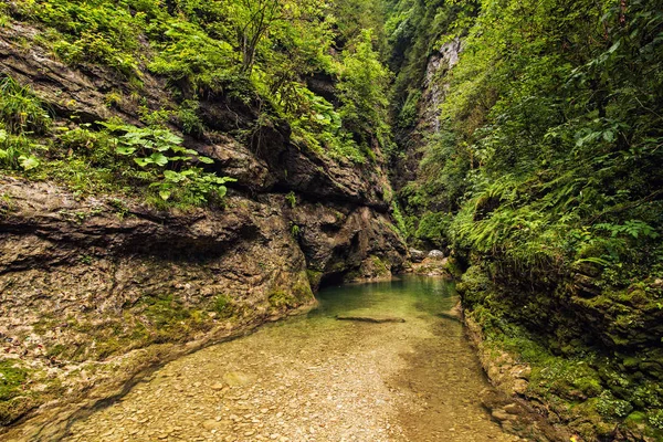 Rio de montanha transparente no desfiladeiro — Fotografia de Stock