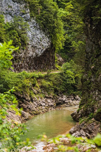 Rio de montanha transparente no desfiladeiro — Fotografia de Stock