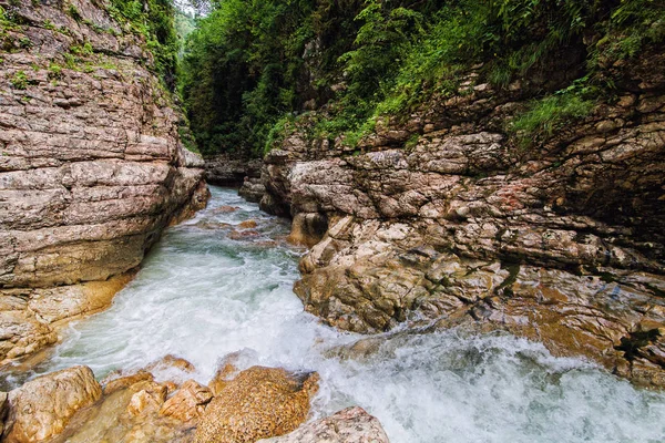 Transparenter Gebirgsfluss in der Schlucht — Stockfoto