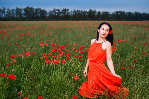 haşhaş alanındaki Kırmızı elbiseli kız