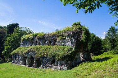 Eski, terk edilmiş katedral ortasındaki enesali Abhazya