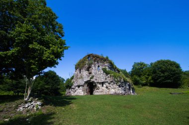 Eski, terk edilmiş katedral ortasındaki enesali Abhazya