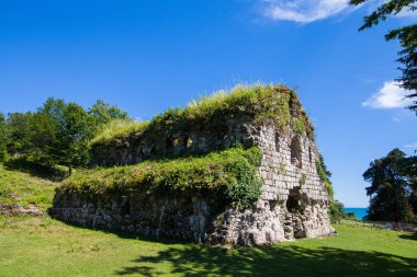 Eski, terk edilmiş katedral ortasındaki enesali Abhazya