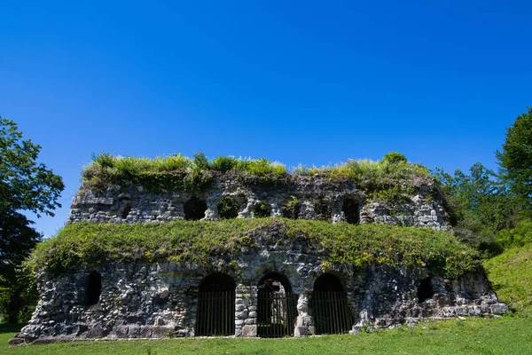 Eski, terk edilmiş katedral ortasındaki enesali Abhazya