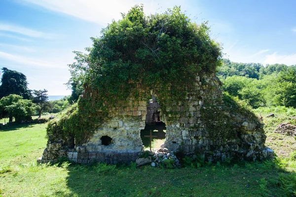 Eski, terk edilmiş katedral ortasındaki enesali Abhazya