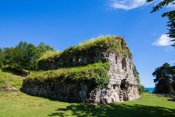 Eski, terk edilmiş katedral ortasındaki enesali Abhazya