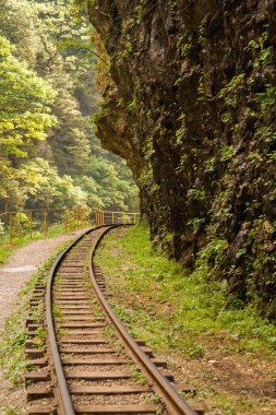 Demiryolu rock arasındaki uçurum dar kanyonda