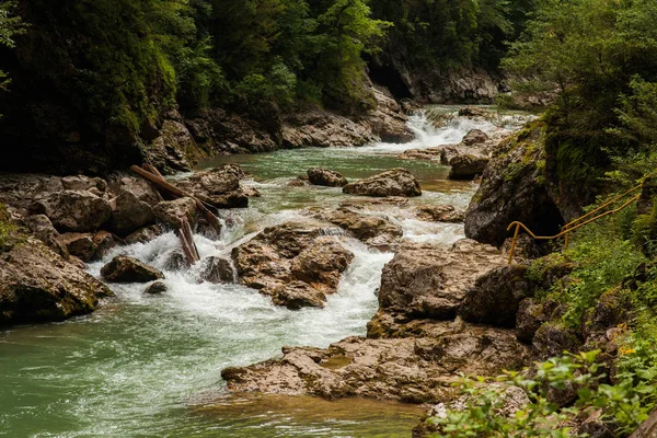 Reiner Gebirgsbach in einer engen Schlucht zwischen Büschen und Bäumen — Stockfoto